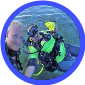 Diving Therapy Program - New Diver