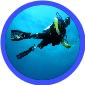 Dive Therapy Program